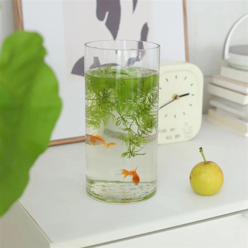 高透玻璃桌面迷你鱼缸小型造景生态缸观赏鱼创意水培绿植办公摆件
