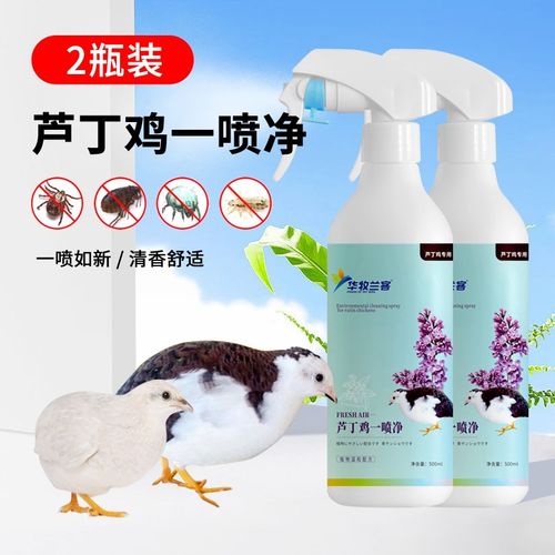 芦丁鸡专用一喷净除臭去味消毒杀菌剂小鸡用品除螨预防啄羽啄肛