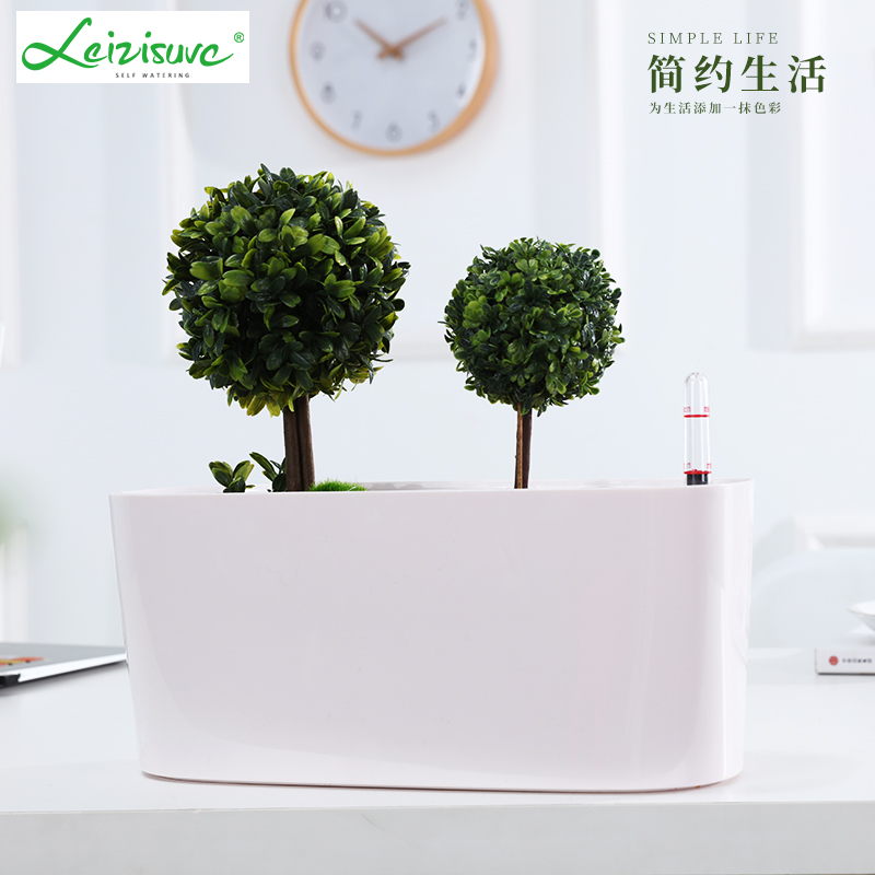 欧式创意长方形懒人室内绿萝花盆简约桌面自动吸水花盆塑料多肉盆