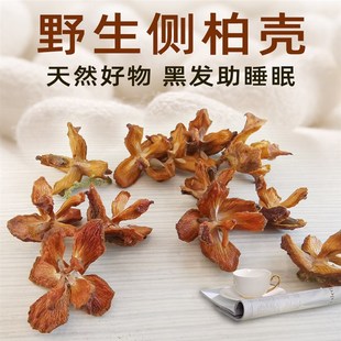 野生侧柏壳松柏壳子柏籽壳柏树籽枕头白发黑发柏叶本草安心睡眠枕