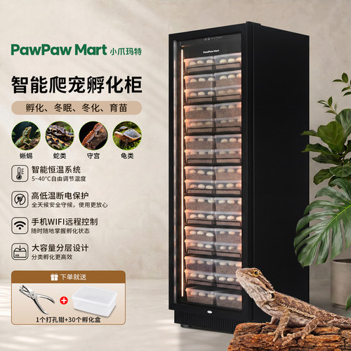 小爪玛特智能爬宠孵化箱蚂蚁甲虫饲养乌龟蜥蜴守宫蛇蛋育苗PF450