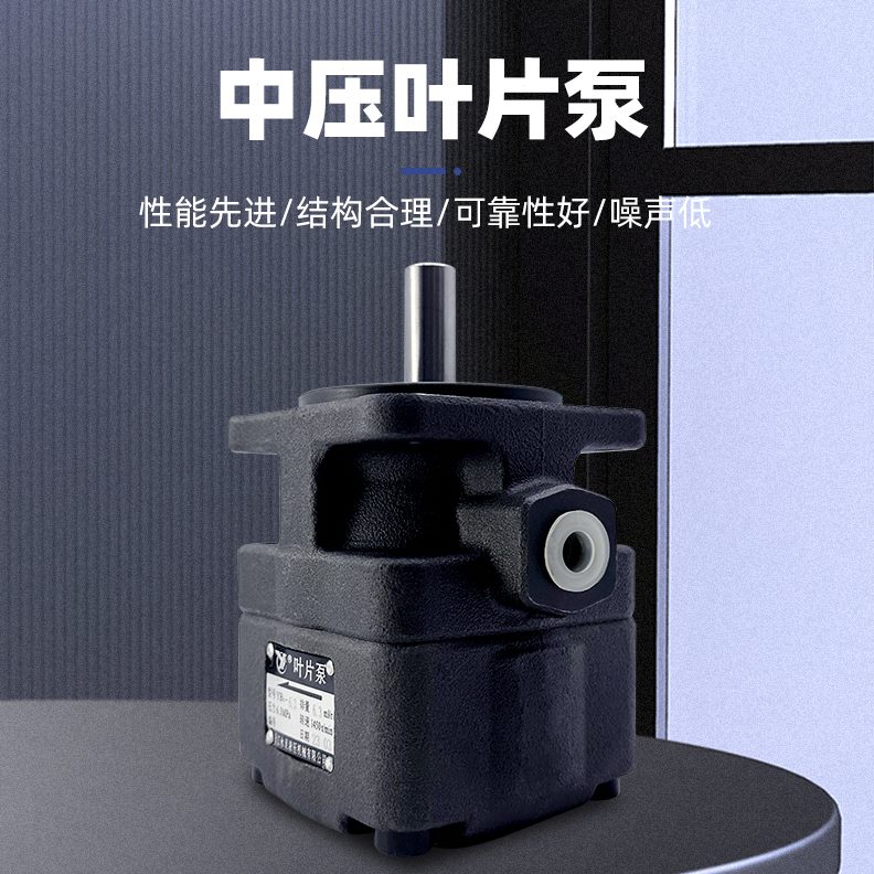 40-叶片泵/Y0/仙1086//43/1.5//6液压50/16/31C/1020B居永灵Y03L.