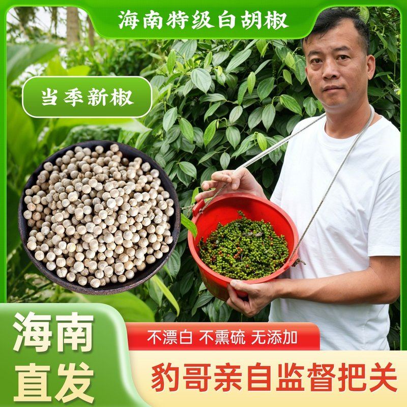 大个阿豹白胡椒海南正宗老树特级白胡椒粒不漂白不熏硫海南发货