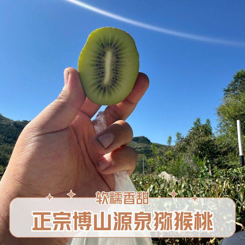 顺丰快递放软食用正宗博山源泉碧玉猕猴桃绿心奇异果新鲜应季