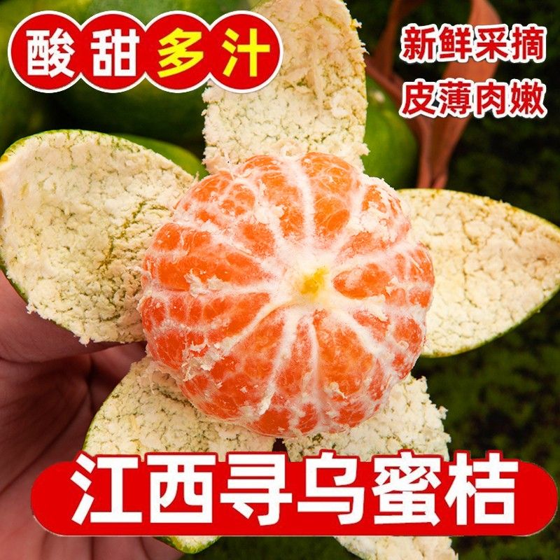 看着青吃着甜江西寻乌蜜桔新鲜现摘应季水果桔子橘子礼盒