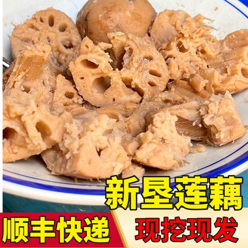 新垦莲藕广东南沙莲藕粉藕现发煲汤新鲜采挖高压锅不粉包赔