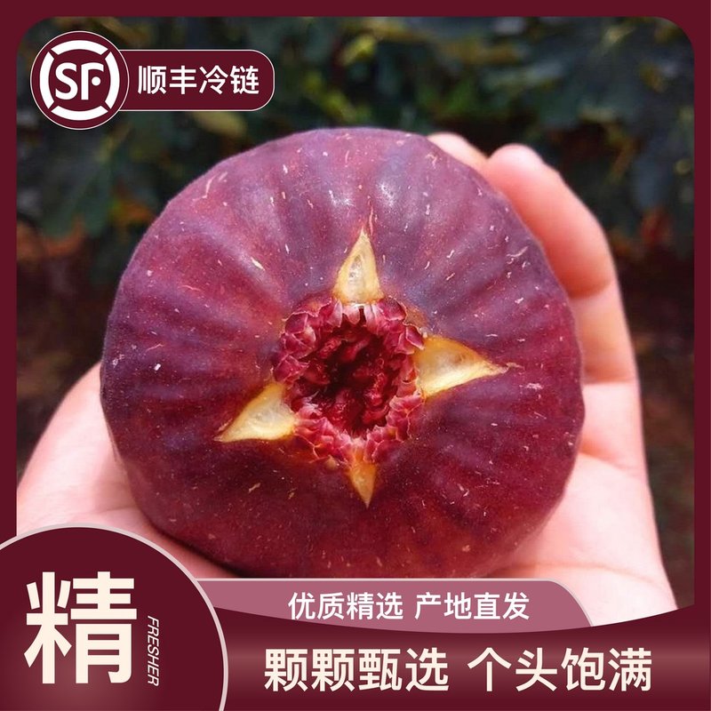 顺丰冷链|四川红皮无花果四川红皮无花果波姬红老树纯甜树上熟
