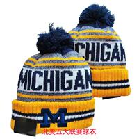 Michigan Wolverines Corum McCarthy Jersey Michigan Wolverines football jersey thumbnail 3
