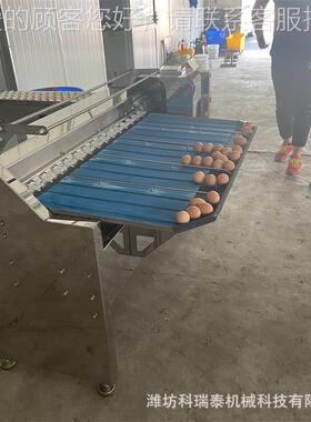 蛋品蛋分级机 种蛋分选分QHH拣选机鸡 蛋按机大小重量机械分级机