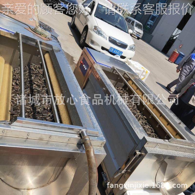 全自动海参清洗不锈毛钢辊喷淋清 洗机 机毛LMS刷清洗机