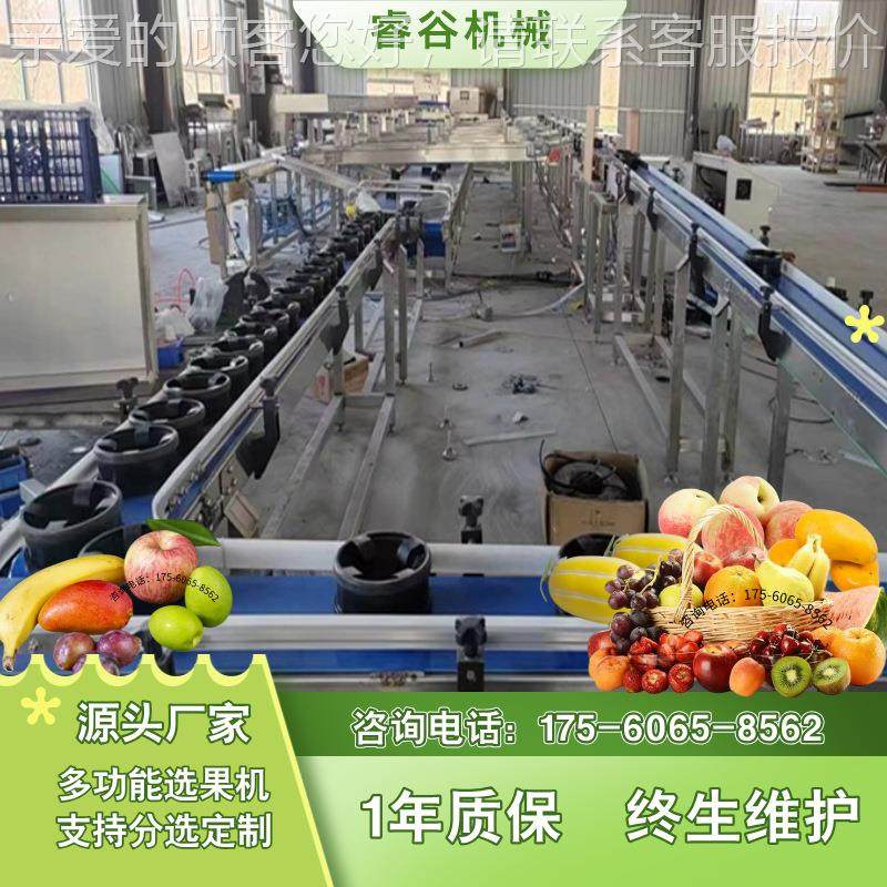 蔬果无损分拣机 车蕉厘子AJW 猕猴李子分香重量选机重量桃检测称,清洗/食品/商业设备,其他食品加工设备,淘宝优惠券,粉丝福利购,淘宝优惠卷