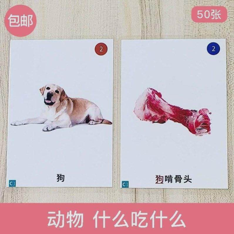 孤独症自闭症个训教具儿童认知理解卡片康复训练教材动物吃什么卡