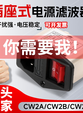电源滤波器插座220V抗干扰CW2A/2B/2C-10A-T双保险座开关带灯CW1D
