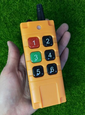 工业级水泵起吊升降机道闸车库电动门z翻板车大功率6键AKG06T6