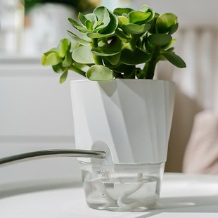 新款 懒人盆绿萝植物自动吸水花盆小塑料花盆透明水养水培植物盆器