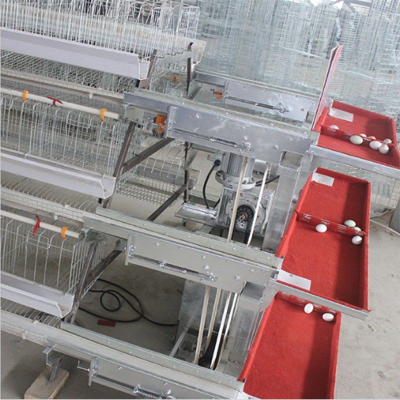 拾蛋机集蛋器鸡笼简易设备养鸡场集蛋机捡蛋机自动集蛋设备,机械设备,农业机械/园林设备/畜牧设备,淘宝优惠券,粉丝福利购,淘宝优惠卷