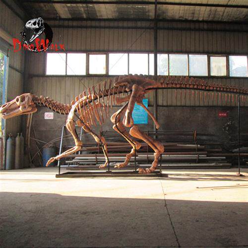 博物馆恐龙古生物化石扶绥龙禽龙骨架骨骼大型逼真玻璃钢模型标本