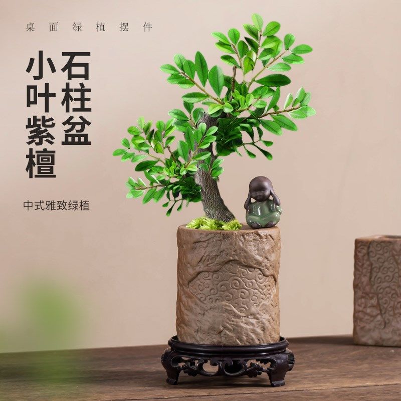 中式粗陶小叶紫檀花盆陶瓷透气家用桌面文竹绿植专用盆栽盆带托盘,鲜花速递/花卉仿真/绿植园艺,花盆,淘宝优惠券,粉丝福利购,淘宝优惠卷