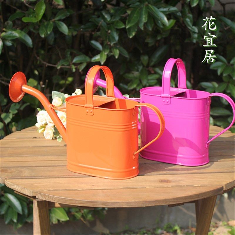 现代简约浇花壶浇菜壶家用铁皮小型洒水壶彩色中号家庭园艺喷壶,鲜花速递/花卉仿真/绿植园艺,洒水/浇水壶,淘宝优惠券,粉丝福利购,淘宝优惠卷