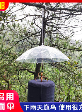 下雨遛鸟雨伞 透明雨伞不档光 简单易用雨天放鸟专用遮雨伞