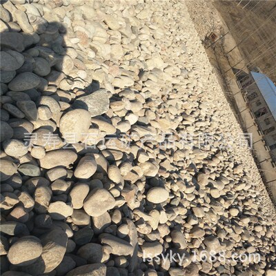 大量供应 自然鹅卵石 园林园艺装饰造景公园铺路用V鹅 河沙石砾