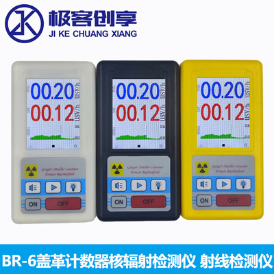 BR-6型盖革计数器核辐射检测仪 核辐射检测仪盖格测试个人剂量仪