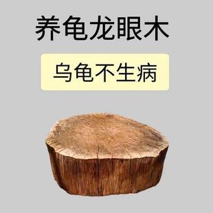 天然圆形龙眼木墩乌龟休息台家用龟缸木头装饰爬台乌龟爬架龙眼木