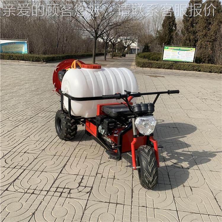 自走式药机汽油新型果打大棚风送弥园柴雾57机乘坐油喷药机,农机/农具/农膜,植保机械,淘宝优惠券,粉丝福利购,淘宝优惠卷