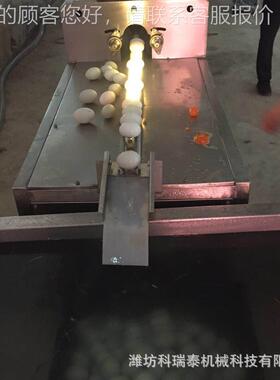 定 制动生产咸鸭蛋FKO清洗线 鸡多型号加长型洗蛋机鸭蛋蛋自清洗