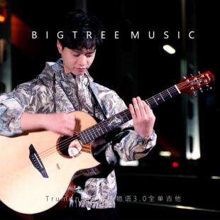 大树音乐屋 3.0升级款楚门海豚物语 夏至 41寸全单民谣木吉他电箱