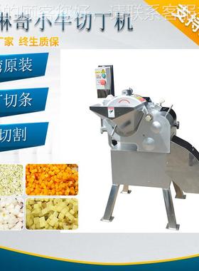 v香厂菇机切粒机加用工果蔬切机高丁速芥菜切丁机刨DKI刷丁机块直