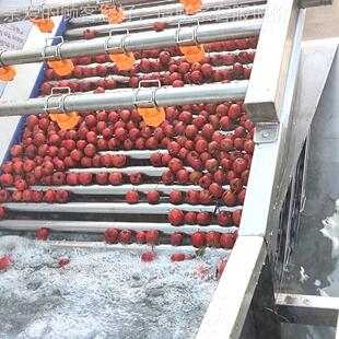 山清大型洗机全自动 山枣923气泡清洗线大 水果清洗楂设备批量清