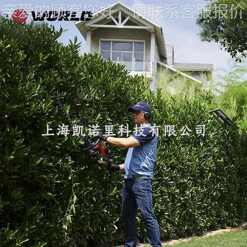 WWT6010ORL机D汽二冲程油绿篱WT6010双刃笆机篱修理机-园林修剪机