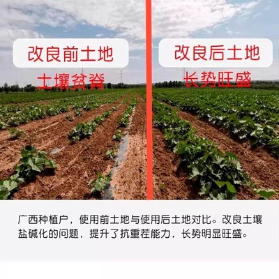 松土精土壤防止板结黑水肥料疏松活化剂通用型农用土地免深耕神器