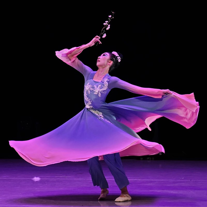 女童艺考独舞古典剧目折枝盼儿童舞蹈表演出服装中国舞飘逸大摆裙