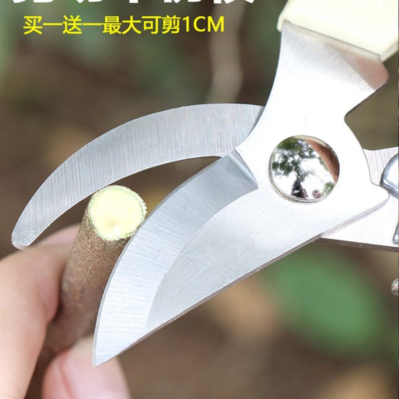 不锈钢强力园林园艺修枝剪清仓家E用省力修花修建树枝花卉剪刀