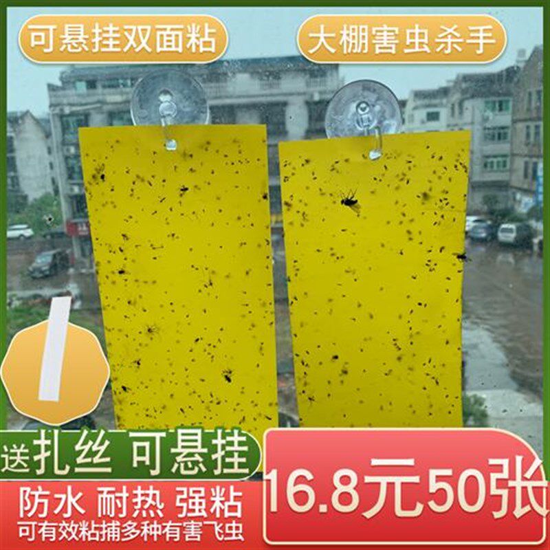 粘虫板诱虫黄板果园沾去除果蝇针蜂蓟马灭杀苍蝇蚊子神Z器纸贴大