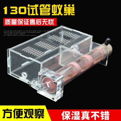 130石膏试管蚁巢蚂蚁工坊压克力弓背收获蚁巢全异大头3D打印蚁巢