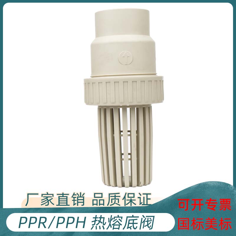 PPR底阀pph球型止回阀水管止逆阀抽水泵底阀滤网进水花篮头莲蓬头图片