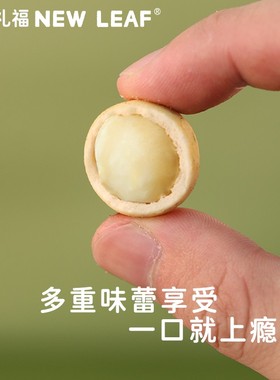 NewLeaf夏威夷果仁芥末味零食坚果健康原味坚果仁小包装干果仁