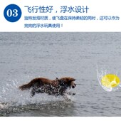 训犬飞盘狗狗玩具边牧马犬金毛拉布拉多德牧耐咬中大型飞碟秋田犬