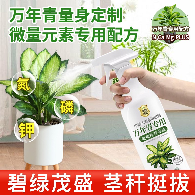 万年青营养液免稀释黄叶万年青肥料专用肥料盆栽水溶肥液体肥