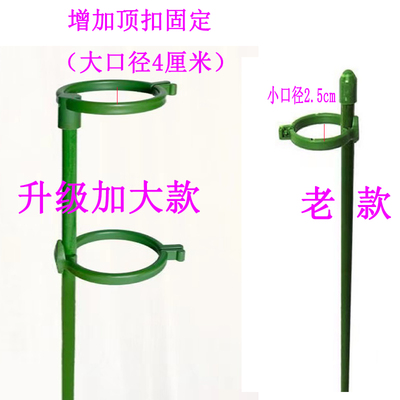 蝴蝶兰支架支撑杆金钱树加粗款植物绿植固定防倒伏花架子