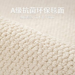 地毯客厅奶油风免洗可擦轻奢高级感防水防污硅藻丝地垫沙发茶几毯