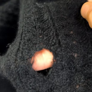 罩衫 女衫 短袖 专业羊毛衫 毛衣针织纯手工加线织补无色差 新款 修绒衫