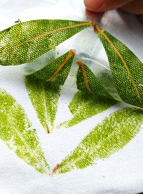 DIY植物拓染工具包含敲拓染布材料与明矾固色剂 手工拓染方巾体验