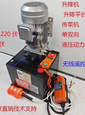 液压动力单元泵站380V220wv泵站液压系统小型液压站传菜机升降平