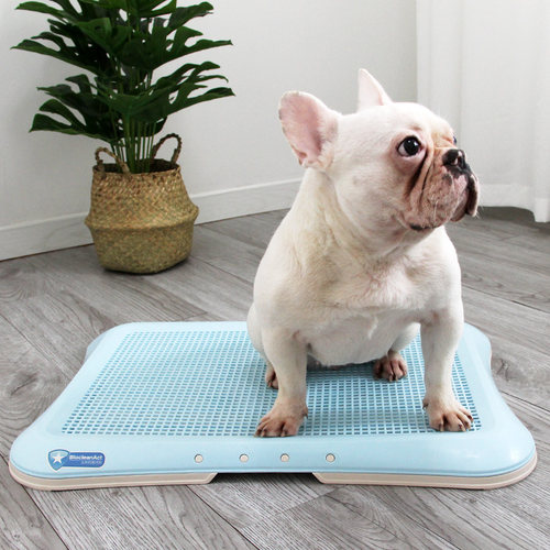 宠物狗新款狗厕所平板狗尿盆便盆法斗柯基泰迪中小型犬大号狗用品