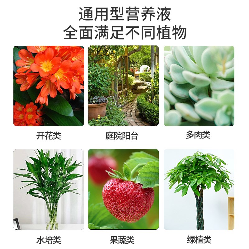 营养液植物通用型水培发财树多肉绿萝富贵竹盆栽鲜花绿植花卉肥料