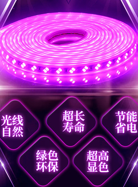 led灯带紫光粉色紫色家用220v装饰浪漫创意KTV超亮户外防水灯带条